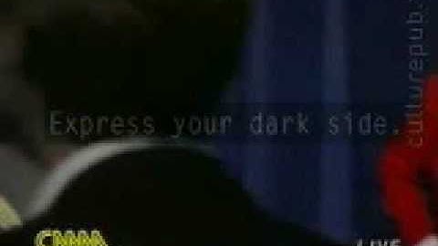 Funny Video 3 [from www metacafe com]