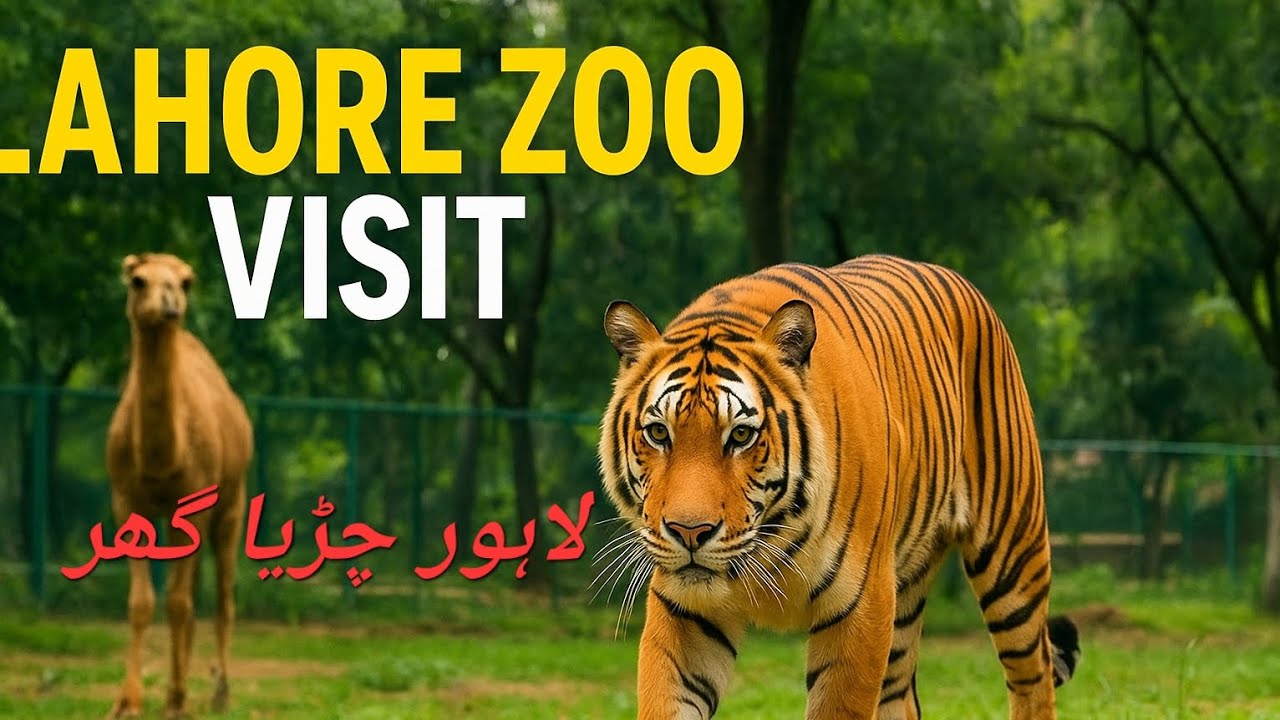 Unbelievable Moments at Lahore Zoo! 🐯🐪