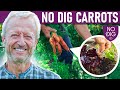 No Dig Carrots, easier than you thought