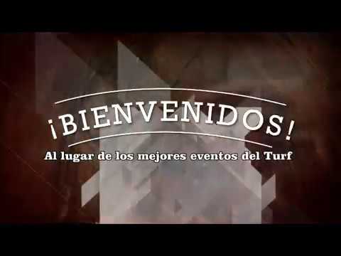 CUARTO OSCURO 15 07 2018 HIP EL PEDERNAL VIDEO DE CHEPES TURF - YouTube CUARTO OSCURO 15 07 2018 HIP EL PEDERNAL VIDEO DE CHEPES TURF - YouTube