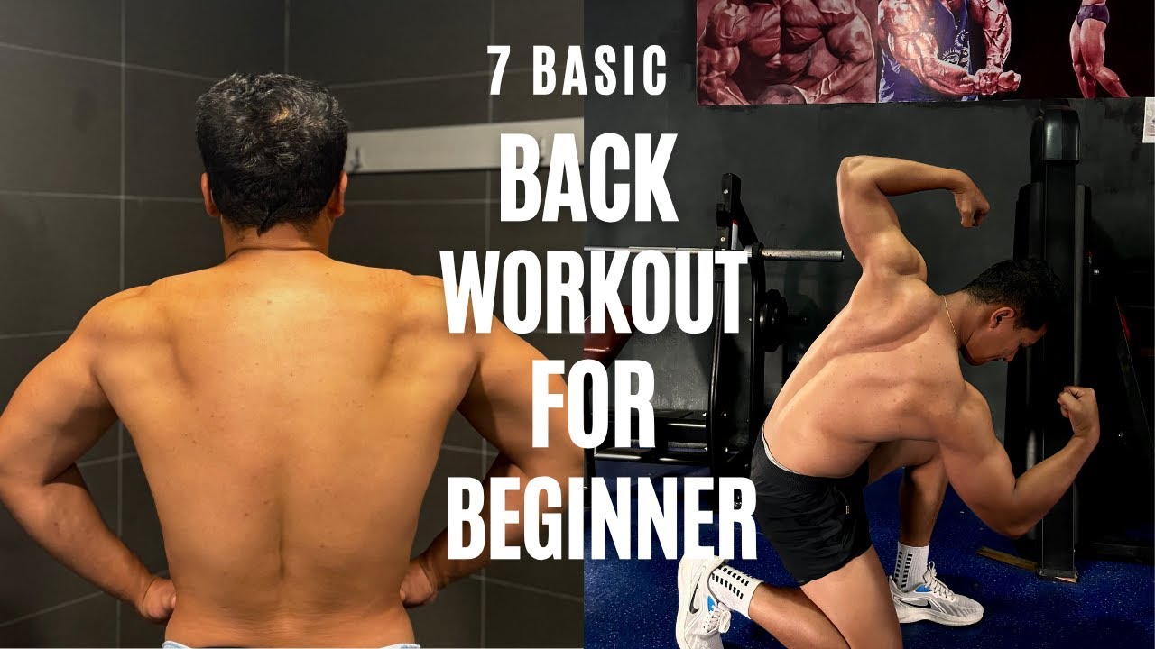 7 Basic Back Workouts for Beginners. Full Back Exercise Demo - YouTube