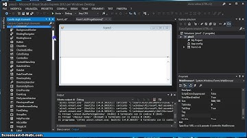Tutorial 48 - WebBrowser (Visual Basic 2012)