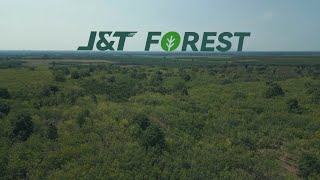 J&T Forest โครงการรักษาผืนป่า เพื่อสร้างความสมดุลให้กับทรัพยากรธรรมชาติและสิ่งแวดล้อม🌳