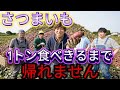 AIが考える「農家系YouTuber」