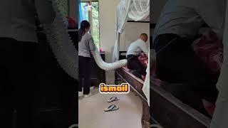 Zort Zort İsmail Bugün Cezalı❗😬🤪 Resimi