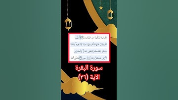 الاية ٣٦ سوة البقرة الزين محمد احمد بروايه حفص عن عاصم تلاوة خاشعة