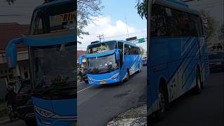 Basuri Anugerah Terindah Cortas 12 Not Viralbasuribusbasurihuntingbusbusmaniatyoproject