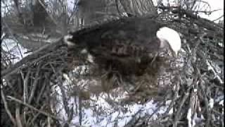 Jan 17 113Pm Mom In With More Grass