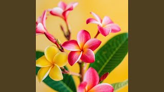 Download lagu Indah Ladang Sedih Cerita