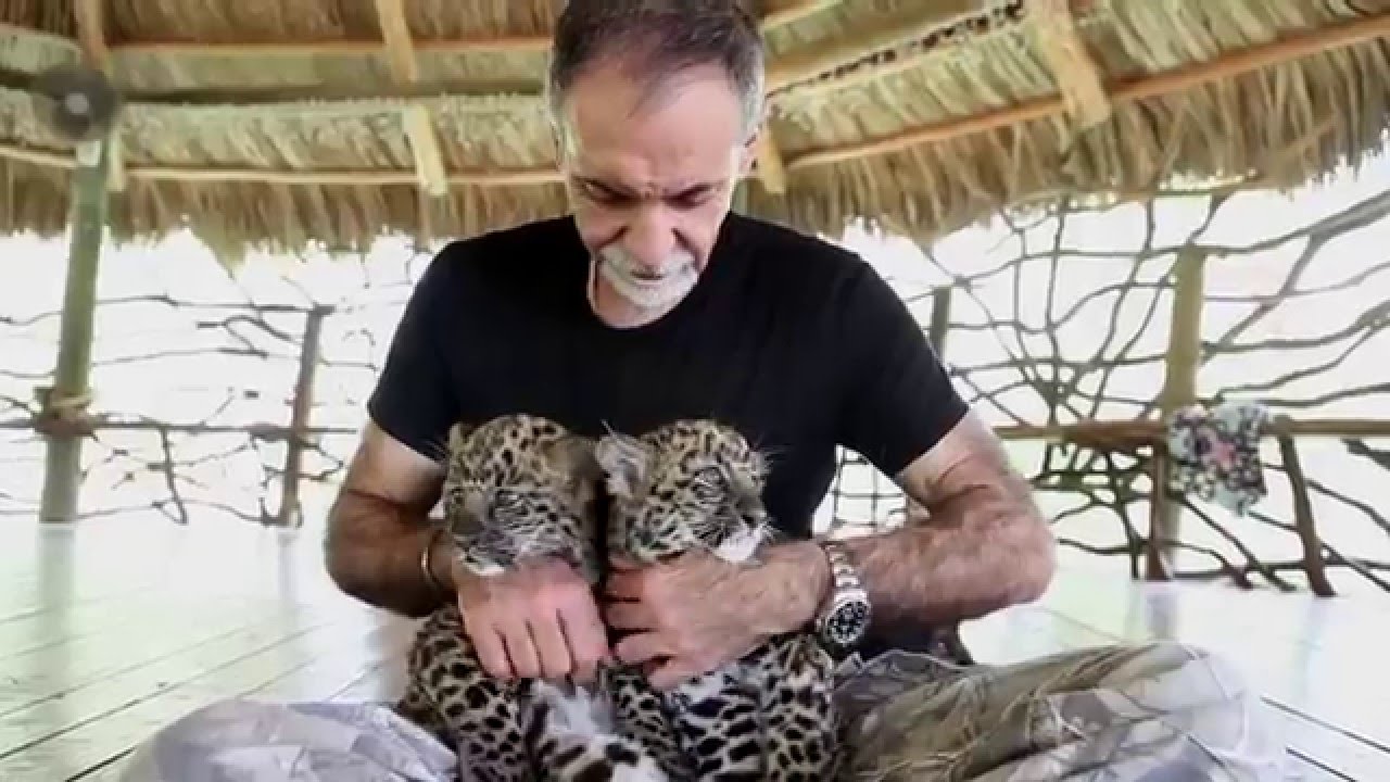 Zoological Wildlife Foundation