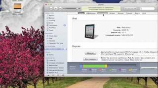 Обзор приложения OPlayer screenshot 5