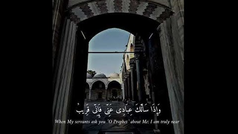 سورة البقرة 186 / القارئ عبدالله الموسى