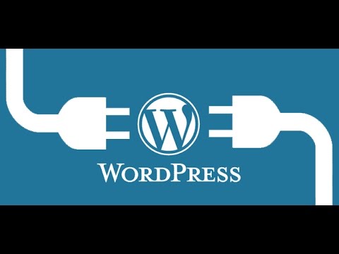Custom CSS Doesn’t Work in WordPress How to Fix It