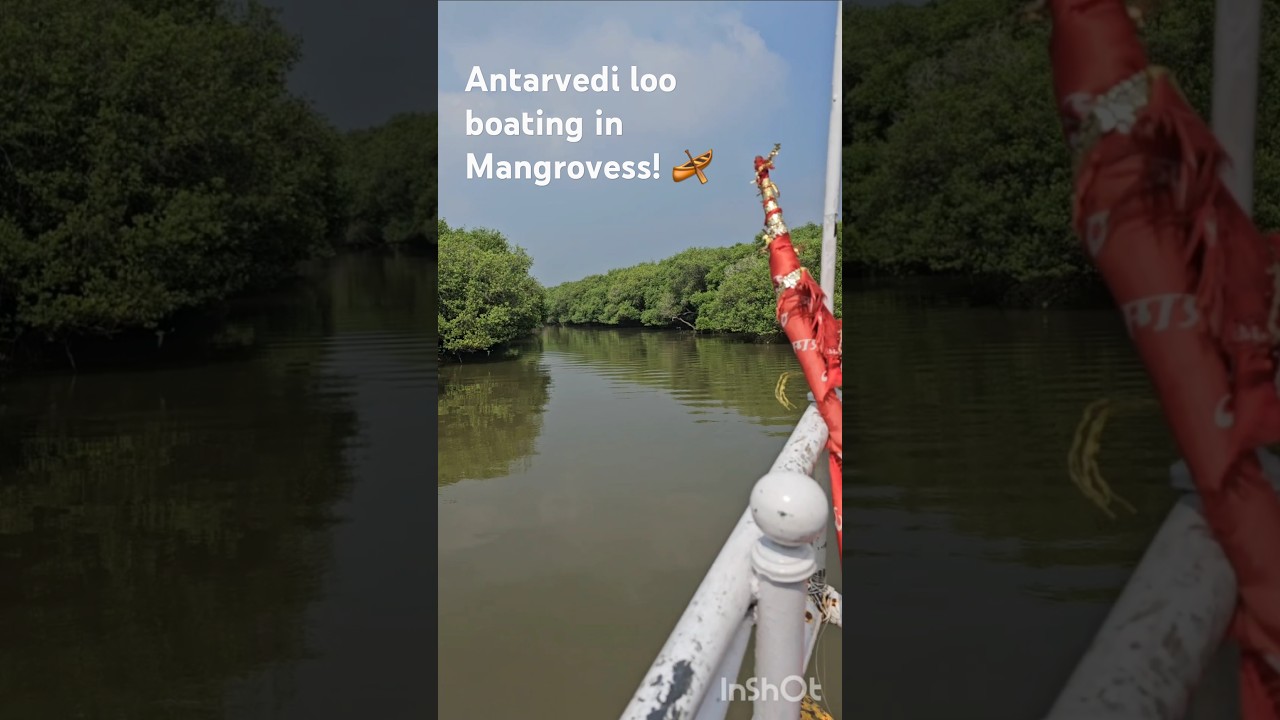 Antarvedi lo tappakunda chudalsina places |Anna chellela gattu |Mangroves lo Boatingg 🛶👌 