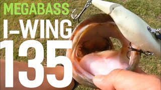 Megabass I-wing 135