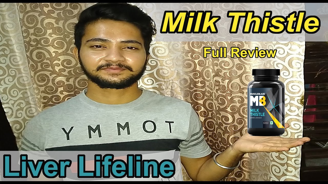 Milk Thistle Benefits Hindi Milk Thistle Ke Fayde Milk Thistle