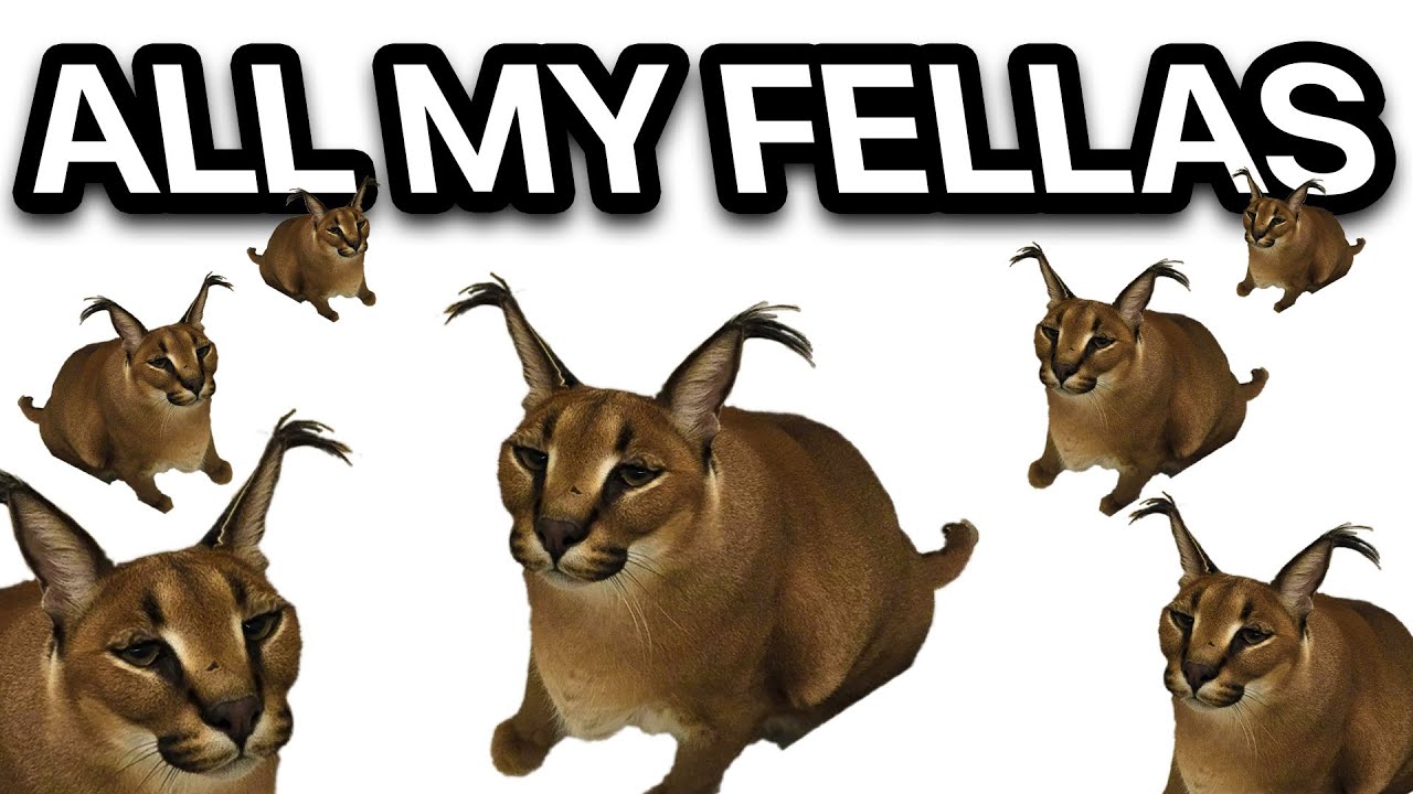 Mix |All My Fellas| Stream Edition