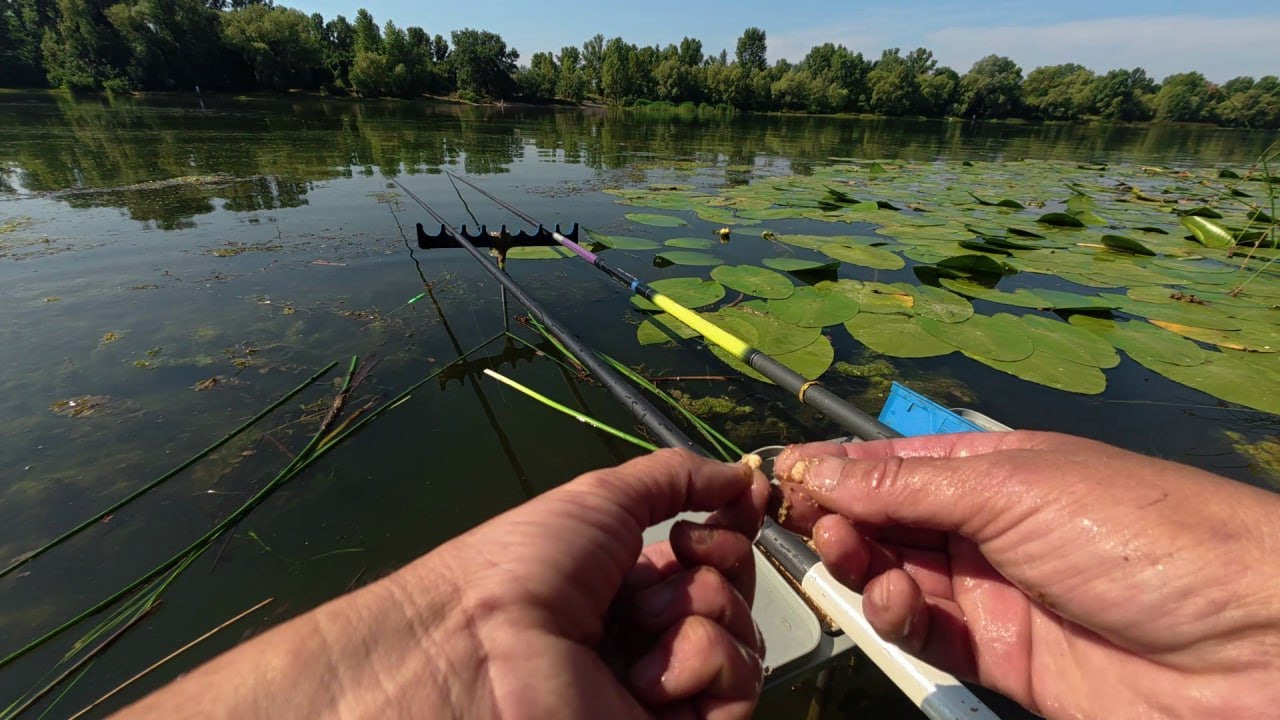 🎣РИБАЛКА 🇺🇦 ЗАТОКА ДНІПРА🐳 ПОПЛАВОК  МАХОВА  ВУДОЧКА🐬🐬🐬