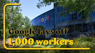 Google lays off 1,000 workers