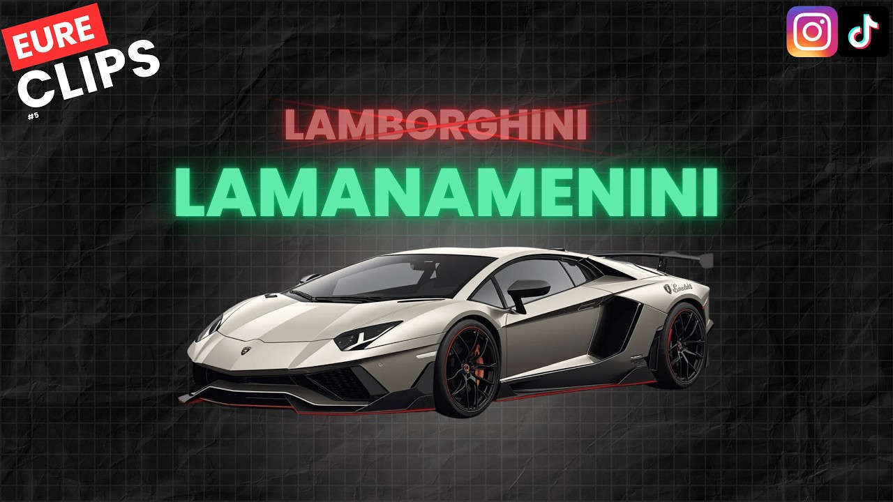 Die wildesten TikToks meiner Community 💀🔥 (Lamanamenini?!)