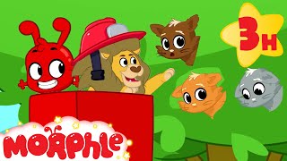 🦁 Morphle and the LION FIREFIGHTER! 🚒 | Morphle's Family | My Magic Pet Morphle | Kids Cartoons