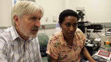 Inside the UMN Odde Lab studying cancer