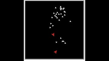 Survival-based Flocking Model: A Toy Model of Complex Adaptation