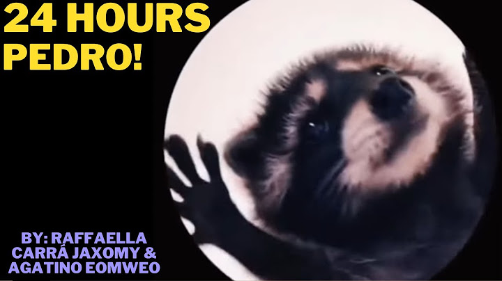 24 Hour - Pedro-Pedro-Pedro! | Raffaella Carrà | Jaxomy Remix | Pedro The Dancing Racoon!