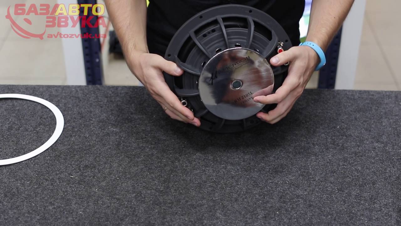 Сабвуферный динамик M-Dimension RM 210 SL