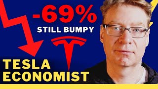 Can Tesla Survive the Massive Tesla Stock Sell-off?⚡Tesla Economist