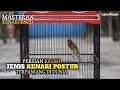 Kenari Rasmi Gacor Lagu Bagus Buat Masteran Kenari Paud Pancingan Biar Cepat Bunyi Mp3 - Mp4 Download