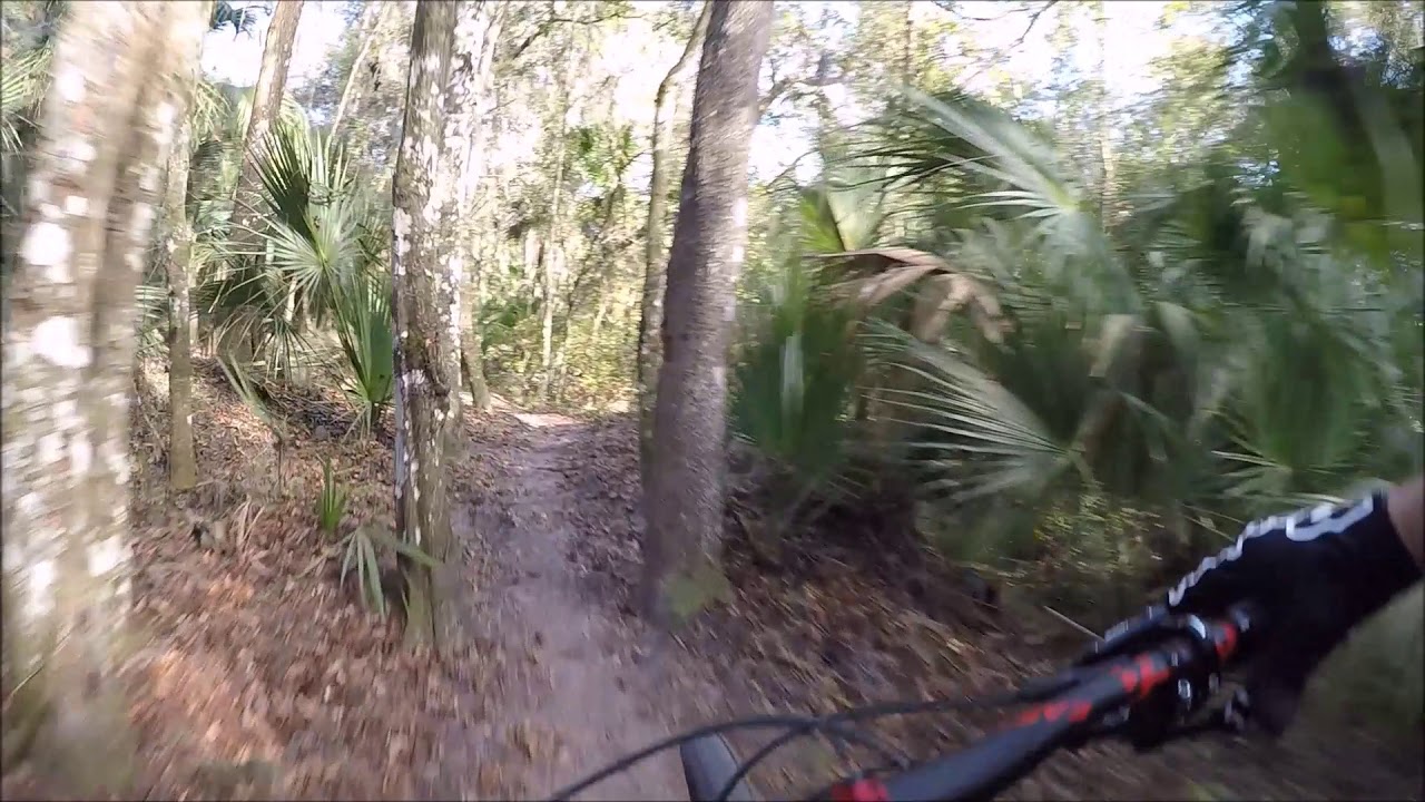 Garden Ridge at Alafia River State Park - YouTube