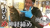 検証 ヒラメは何日寝かせが美味いのか 第111回 Youtube