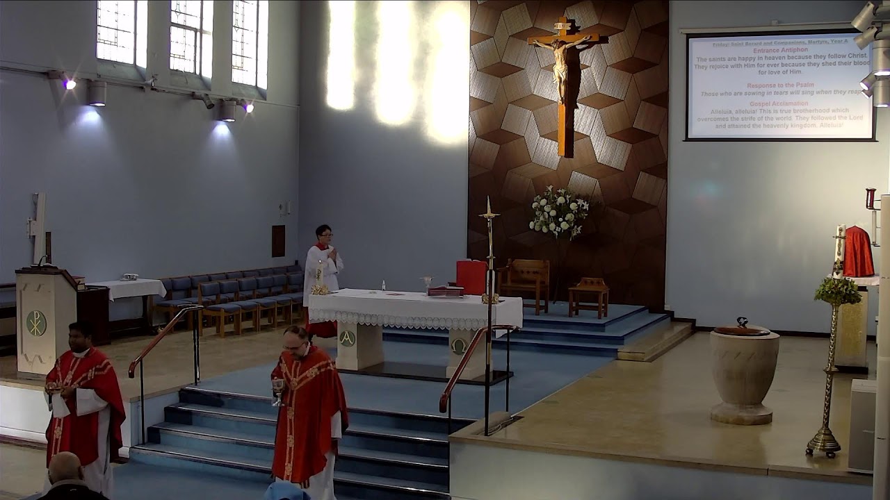 Friday: St. Berard and Companions, Martyrs, Year A, 9:00 am