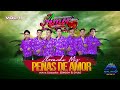 Llorando Mis Penas de Amor - AMOR Y PASION | Éxitos VOL. 1