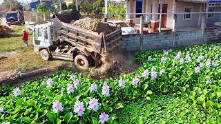 Incredible New PROJECT! Landfill Delete Deep Pond Using Strong Dozer Pushing soil & 5Ton Truck.