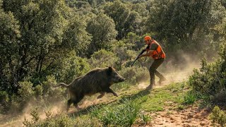 Hunting Wild Boar -Season 2026 -Kemisset -Ait Ichou - Part 4