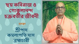 Yirtilgan mushuk haqida video