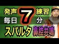 【発声メニュー毎日7分】これで絶対できるようになる!スパルティス鼻腔共鳴編【ボイトレ】【ボイストレーニング】【響き】