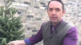 Tips for selecting, maintaining your real Christmas tree