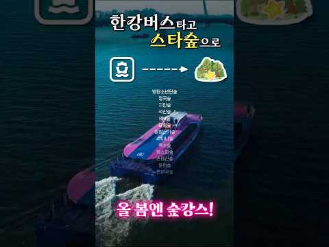 🚢 한강버스 타고 최애 스타숲으로!🌳 선착장에서 스타숲 가는 길📍#한강버스 #스타숲 #서울시