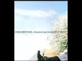 小松未歩 ‐ diplomacy