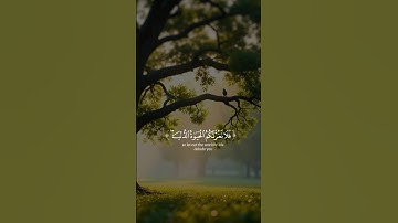 تلاوة خاشعه اسمع بقلبك 🍂🎧#قرآن #quran #اكسبلور #راحة_نفسية #trending #لايك
