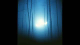 Phantom Lights