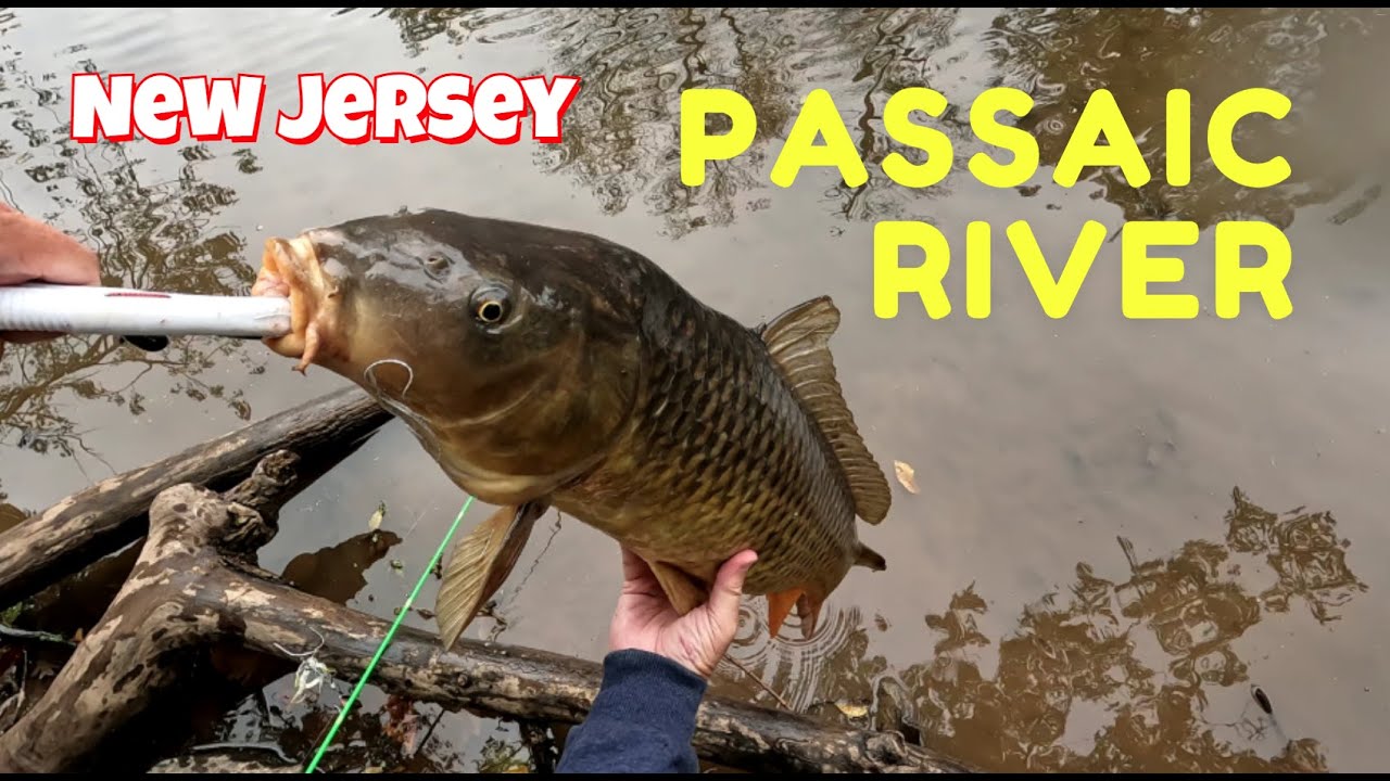 Crazy Catch While Pike Fishing at the Passaic River in New Jersey