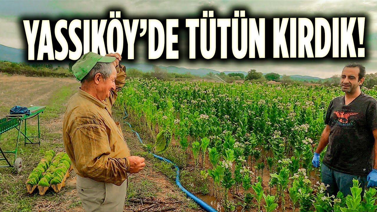 Batı Trakya'nın Köylerine Yolculuk 🇬🇷