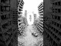 【ホラー漫画】AIの理由 #ホラー #ホラー漫画 #恐怖 #漫画 #Shorts