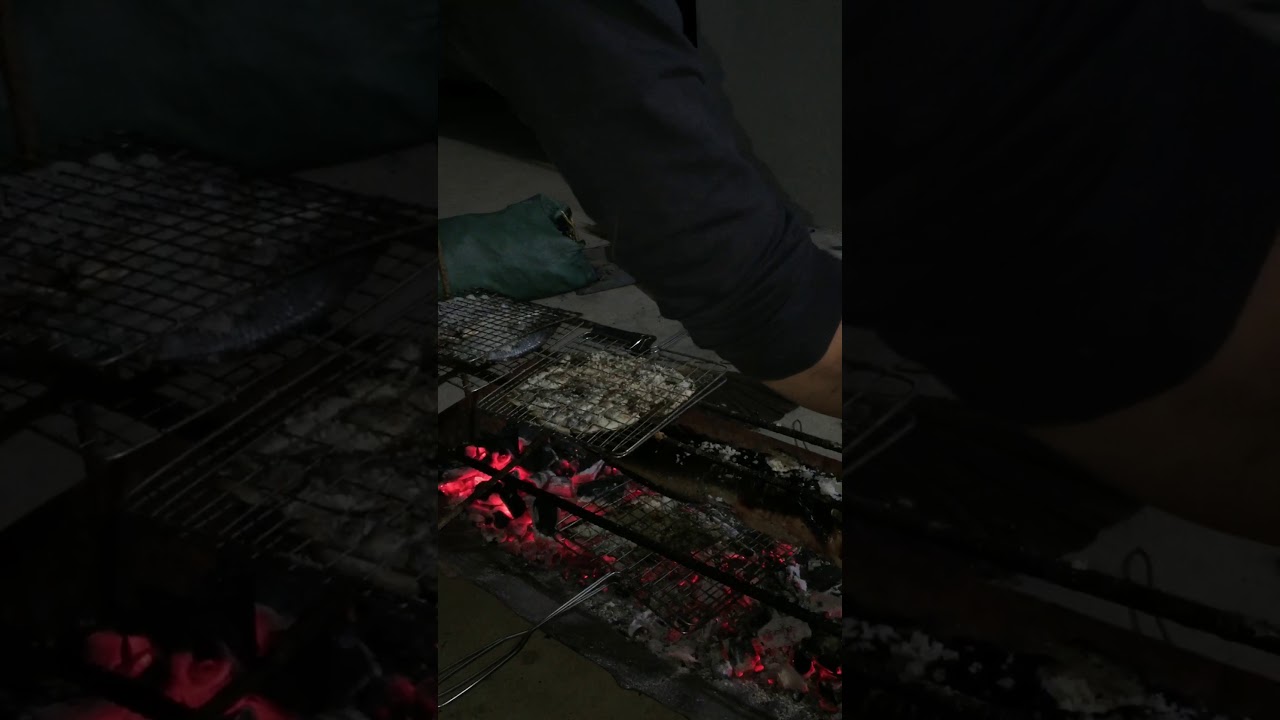 Trời lạnh nướng cá và ngồi uống vài chén rượu với anh em thì còn gì bằng - YouTube