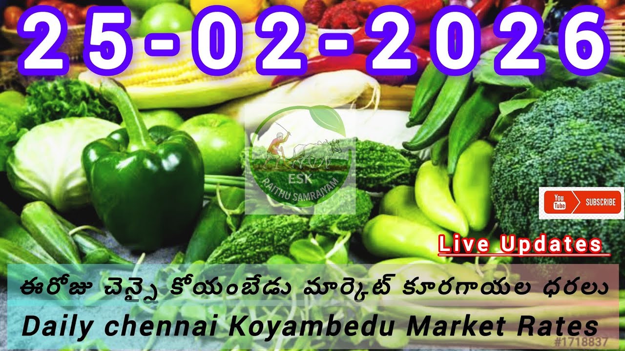 25-02-2026 ( చెన్నై కోయంబేడు మార్కెట్ కూరగాయల ధరలు  ( Today Chennai Marcket Vegitable Price)#allah 