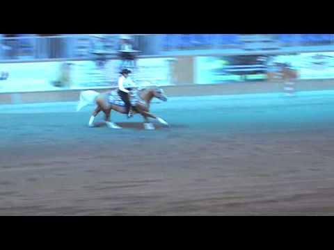 World Reining Championship 2008, #17 Tammy Greaves...